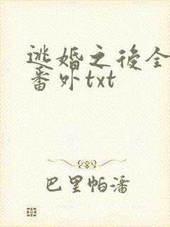 逃婚之后全文加番外txt