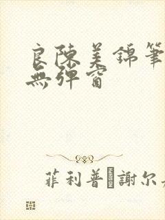 良陈美锦笔趣阁无弹窗