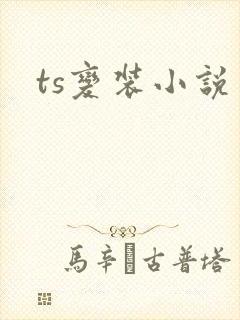 ts变装小说