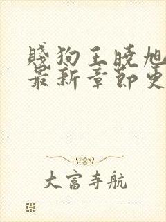 贱狗王晓旭小说最新章节更新时间2023