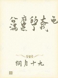 公么的大龟强大满足了我