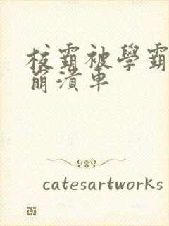 校霸被学霸玩到崩溃车