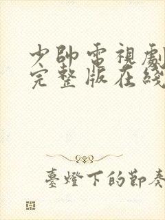 少帅电视剧免费完整版在线看高清