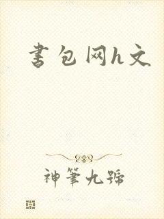 书包网h文