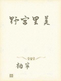 野宫里美封面