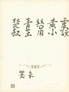 楚青丝黄震和陈叔主角小说免费阅读全文