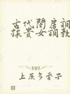 古代闺房调教h揉贵女调教记