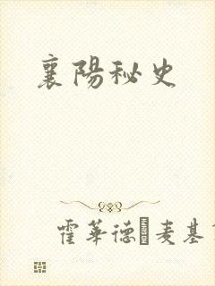 襄阳秘史