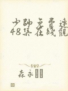 少帅免费连续剧48集在线观看