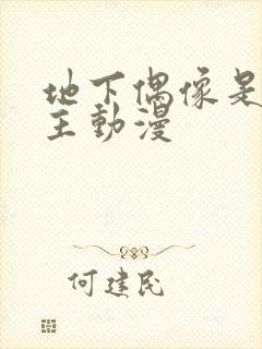 地下偶像是双男主动漫