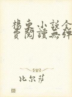 杨东小说全文免费阅读无弹窗