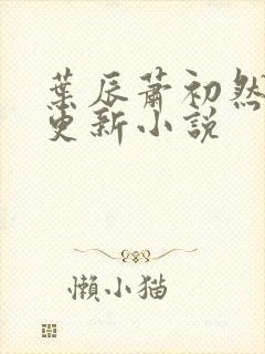 叶辰萧初然最快更新小说