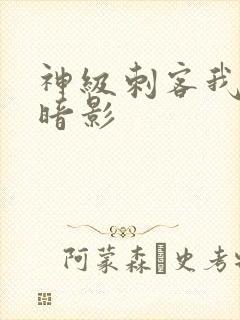 神级刺客我即为暗影