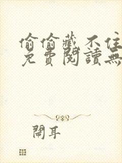 偷偷藏不住全文免费阅读无删减封面