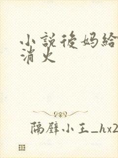 小说后妈给我消消火封面