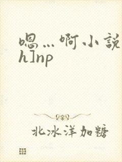 嗯…啊小说[高h]np