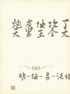 炮灰他攻了龙傲天男主全文阅读封面