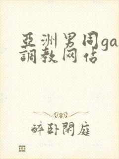亚洲男同gay调教网站