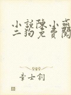 小说陈小燕,牛二狗免费阅读