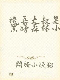 机长大叔是饿狼黑暗森林小说笔