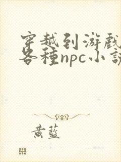 穿越到游戏里和各种npc小说