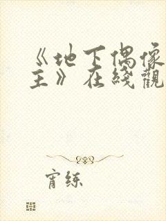 《地下偶像双男主》在线观看