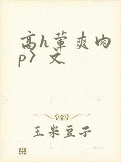 高h荤爽肉〈np〉文