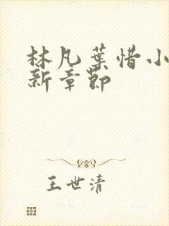 林凡叶惜小说最新章节