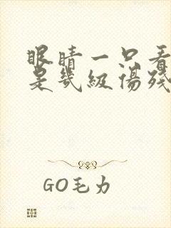 眼睛一只看不到是几级伤残