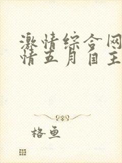 激情综合网,激情五月自主