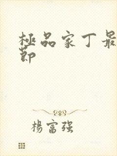 极品家丁最新章节