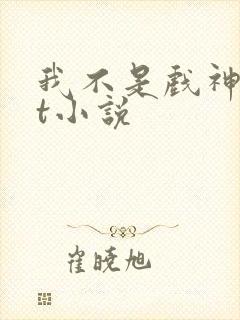 我不是戏神txt小说