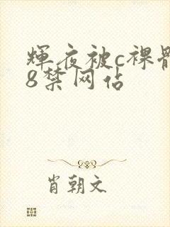 辉夜被c裸体18禁网站
