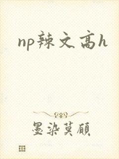 np辣文高h