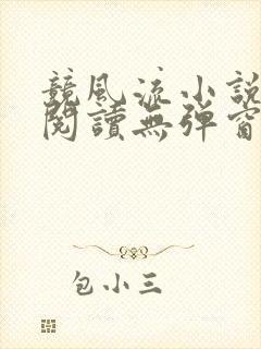 竞风流小说全文阅读无弹窗免费