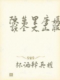 陈万里唐嫣然小说全文正版封面