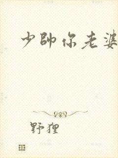 少帅你老婆