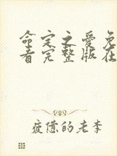 命定之爱免费观看完整版在线全集