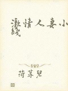 激情人妻小说在线