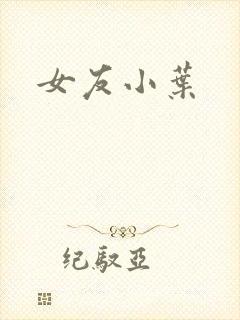 女友小叶