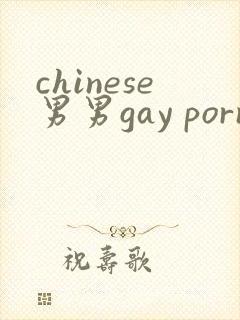 chinese男男gay porn网站