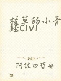 校草的小青梅不经C1V1