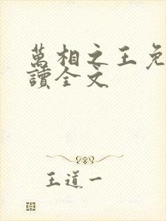 万相之王免费阅读全文