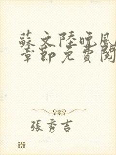 苏文陆晚风最新章节免费阅读笔趣阁