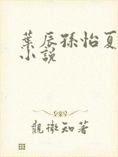 叶辰孙怡夏若雪小说封面