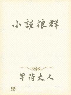 小说狼群
