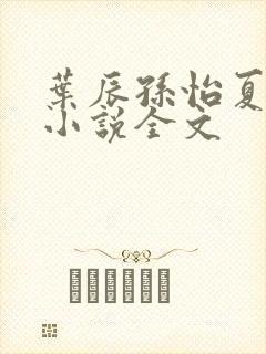 叶辰孙怡夏若雪小说全文