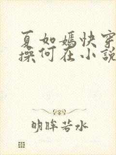 夏如嫣快穿之节操何在小说免费阅读