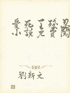 爱死了残忍的你小说免费阅读全文