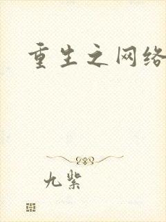 重生之网络大亨封面